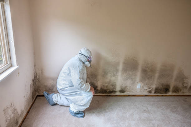 Best Mold Testing  in Sharon, MS