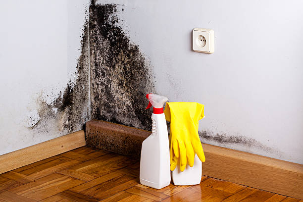 Best Emergency Mold Removal  in Sharon, MS